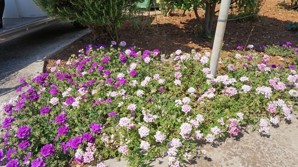 Kožino Apartments Roberta מראה חיצוני תמונה